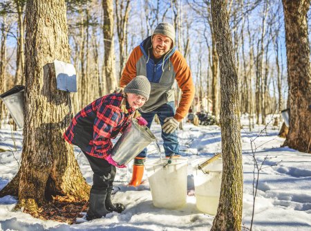 A sugar shack, father and child having fun at mepla shack forest collect maple water