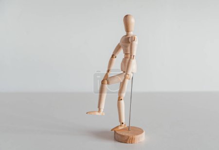 Photo for Knee flexion on wooden model, controlled by muscles in the posterior thigh, known as the hamstrings. The main muscles involved in knee flexion are: Biceps Femoris, Semitendinosus, Semimembranosus - Royalty Free Image