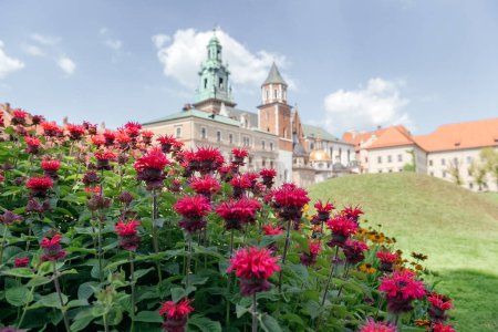Téléchargez les photos : Fleurs de Monarda rouge, communément connu sous le nom de baume d'abeille, en pleine floraison avec un château historique majestueux se levant dans le fond soft-focus - en image libre de droit