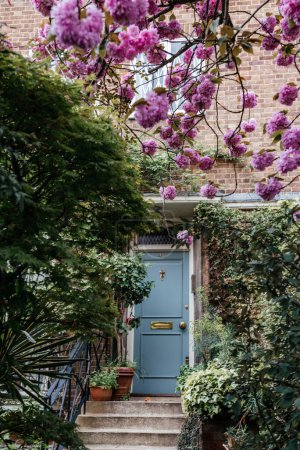 a quaint residential doorway in London, framed by the lush pink blossoms of a cherry tree