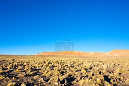 Photo for Bolivian landscape, Morejon lagoon view, Bolivia. Andes plateau - Royalty Free Image