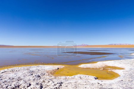 Foto de Vista a la laguna boliviana, Bolivia. Kollpa Kkota vista laguna. Collpa Laguna - Imagen libre de derechos