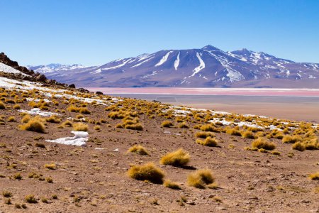 Foto de Laguna Colorada paisaje, Bolivia. Hermoso panorama boliviano. Laguna de agua roja - Imagen libre de derechos