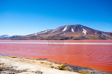 Foto de Laguna Colorada paisaje, Bolivia. Hermoso panorama boliviano. Laguna de agua roja - Imagen libre de derechos