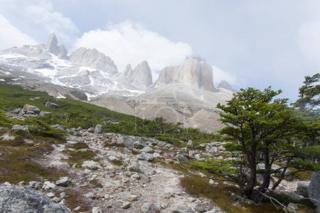 Téléchargez les photos : Paysage de la vallée française, Parc national des Torres del Paine, Chili. Cuernos del Paine. Patagonie chilienne - en image libre de droit