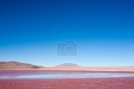 Téléchargez les photos : Paysage Laguna Colorada, Bolivie. Beau panorama bolivien. Lagune d'eau rouge - en image libre de droit