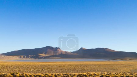 Photo for Bolivian landscape, Morejon lagoon view, Bolivia. Andes plateau - Royalty Free Image