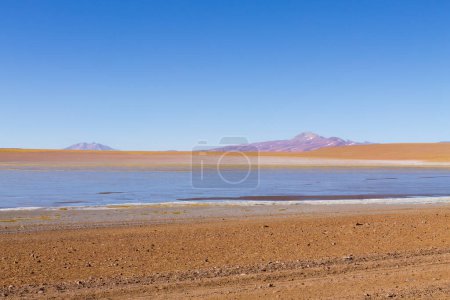 Téléchargez les photos : Vue sur le lagon bolivien, Bolivie. Vue sur le lagon de Kollpa Kkota. Collpa Laguna - en image libre de droit