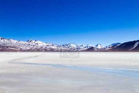 Téléchargez les photos : Paysage Laguna Blanca, Bolivie. Magnifique panorama bolivien.Lagune blanche et volcan Licancabur - en image libre de droit