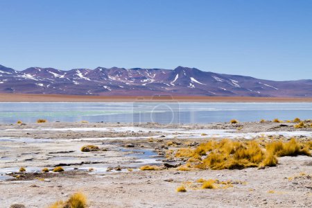 Téléchargez les photos : Paysage lagunaire bolivien, Aguas Termales de Polques, Bolivie. - en image libre de droit