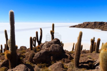 Salar de Uyuni Blick von der Insel Incahuasi, Bolivien. Größte Salzebene der Welt. Bolivianische Landschaft