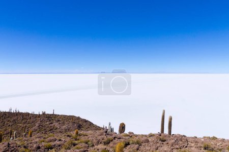 Salar de Uyuni Blick von der Insel Incahuasi, Bolivien. Größte Salzebene der Welt. Bolivianische Landschaft