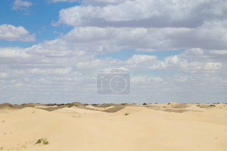 Kazakhstan desertic landscape, Senek town area, Mangystau region. Central Asia landscape
