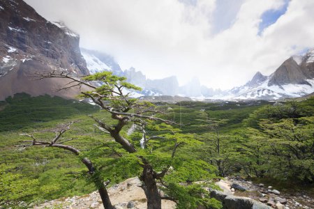 Téléchargez les photos : Paysage de la vallée française du point de vue britannique, parc national Torres del Paine, Chili. Cuernos del Paine. Patagonie chilienne - en image libre de droit