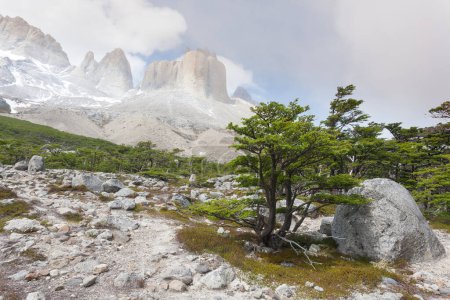 Landschaft des Französischen Tals, Nationalpark Torres del Paine, Chile. Cuernos del Paine. Chilenisches Patagonien
