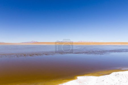 Vue sur le lagon bolivien, Bolivie. Vue sur le lagon de Kollpa Kkota. Collpa Laguna