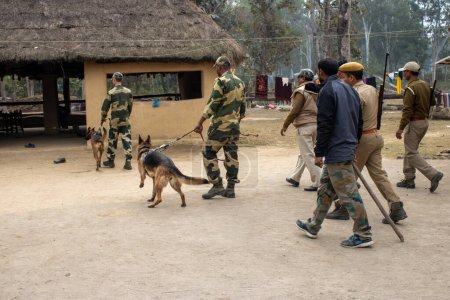 Téléchargez les photos : Chiens formés dans l'Uttarakhand se lancer dans une mission pour suivre et découvrir les activités illégales.Image de haute qualité - en image libre de droit