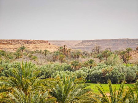Paisaje del Valle de Ziz en Marruecos, cañón en el norte de África cerca del desierto del Sahara