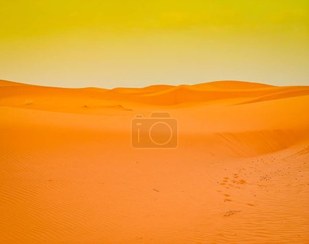 Sand dunes in the Sahara desert at sunset in background, Merzouga, Morocco, North Africa