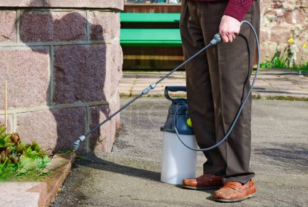 Téléchargez les photos : Spray désherbant à l'aide d'une pompe dans le jardin Royaume-Uni - en image libre de droit