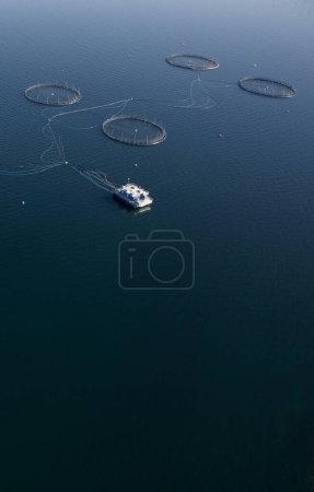 Granja de peces de salmón redes redondas en el entorno natural Loch Fyne Arygll y Bute Escocia Reino Unido