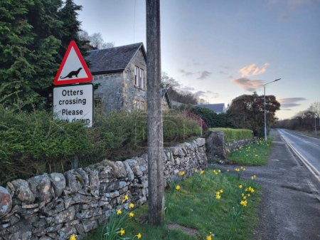 Foto de Señal de advertencia de cruce de nutrias para que los conductores reduzcan su velocidad UK - Imagen libre de derechos