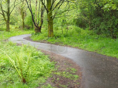 Rad- und Fußweg im Newshot Naturschutzgebiet in Erskine UK