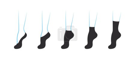 Téléchargez les illustrations : Types de chaussettes pour femmes. Ensemble avec différentes formes de chaussettes. Icônes de vêtement. Illustration vectorielle - en licence libre de droit