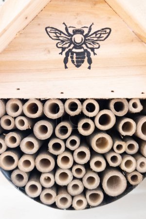 Téléchargez les photos : Insecte hôtel texte français dans une cabane en bois pour papillons abeilles et insectes animaux d'hôtel - en image libre de droit