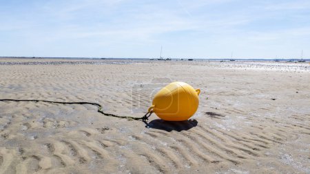 Téléchargez les photos : Yellow buoy on the sand beach on the shoreline in low tide - en image libre de droit