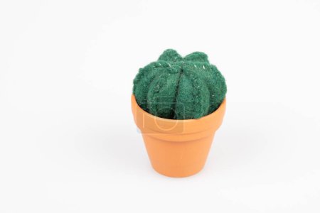 cactus green flower little artificial plant pots in fabric on white background