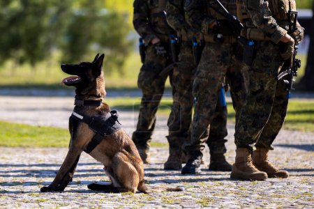 Bulgarian army members participate in a demonstration of skills. Border patrol dog.