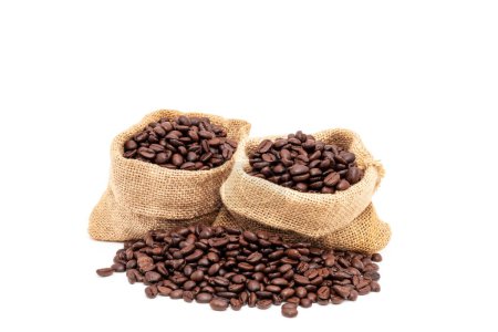 Téléchargez les photos : Tas de grains de café bruns torréfiés dans des sacs de toile de jute isolés sur fond blanc. concept de grains de café frais - en image libre de droit