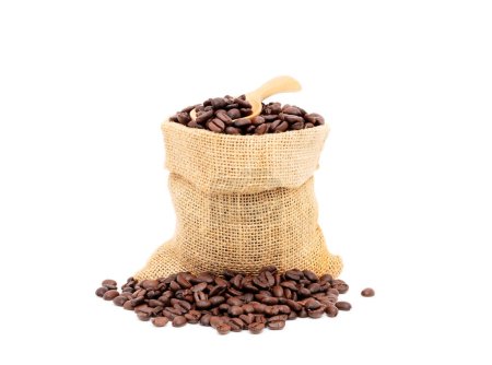 Téléchargez les photos : Tas de grains de café bruns torréfiés dans des sacs de toile de jute isolés sur fond blanc. concept de grains de café frais - en image libre de droit