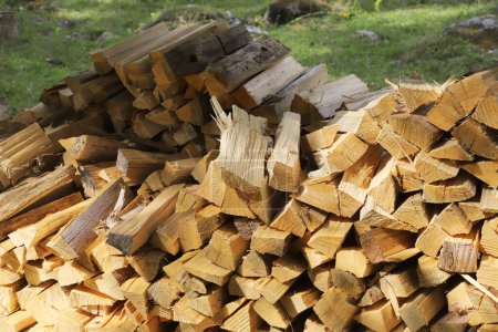 Téléchargez les photos : Pile de bois de chauffage coupé - en image libre de droit