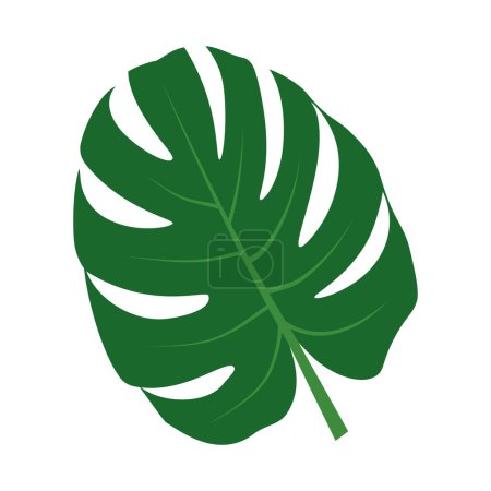 Monstera icon. Leaf in flat style.