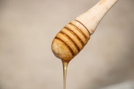 Photo for Closeup of a honey dipper dripping with honey - Royalty Free Image