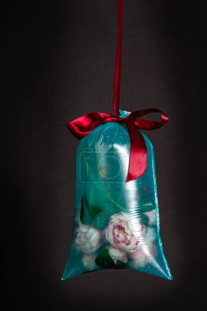 Photo for Plastic bag with water and rose flowers and bow tie. Vertical shot black background. - Royalty Free Image