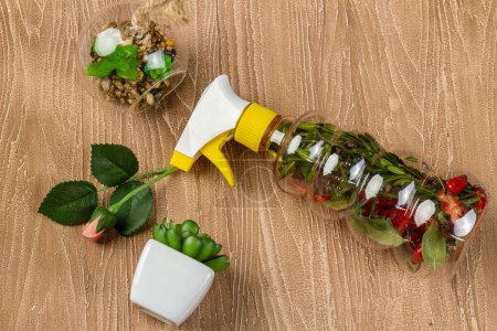 Photo for Spray bottle with herbs inside of it. Houseplants on the desk. - Royalty Free Image