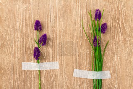 Téléchargez les photos : Deux fleurs violettes attachées à un bureau en bois. Herbes patchées à la table. - en image libre de droit
