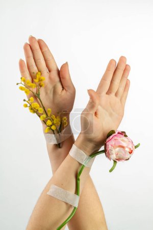 Téléchargez les photos : Deux avant-bras féminins croisés avec des fleurs patchées. Plan vertical fond blanc. - en image libre de droit
