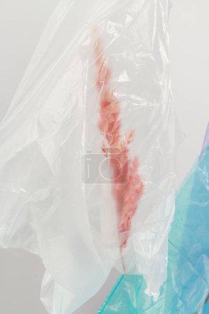 Foto de Cierre la espiguilla roja en una bolsa de plástico. Problema de contaminación ambiental. - Imagen libre de derechos