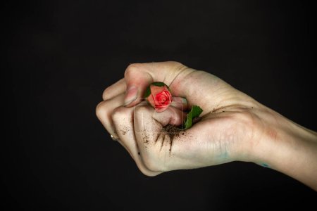 Téléchargez les photos : Fermer les femmes main serrant des fleurs dans un poing. Concept de détérioration de l'environnement. - en image libre de droit