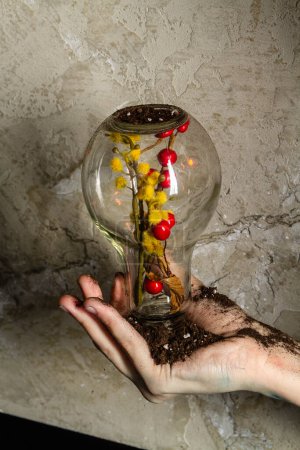 Téléchargez les photos : Ampoule main tenant avec des fleurs à l'intérieur. Concept de concept écologique. - en image libre de droit