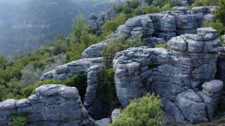 Téléchargez les photos : Des formations rocheuses grises incroyables. Vue panoramique sur les falaises rocheuses avec des arbres verts. Manavgat, Antalya, Turquie. - en image libre de droit