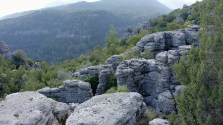 Foto de Vista superior de las laderas de las montañas cubiertas de formaciones rocosas grises y árboles verdes. Montañas salvajes naturaleza paisaje. - Imagen libre de derechos