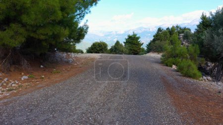 Photo for Mountain road landscape with rocks and evergreen trees on a summer day. Scenic nature landscape. - Royalty Free Image