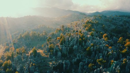 Téléchargez les photos : Spectacular aerial view of amazing rock formations with evergreen trees. Majestic mountain nature landscape. - en image libre de droit