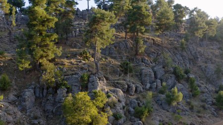 Foto de Formaciones rocosas paisaje y bosque mediterráneo siempreverde. Vista desde el dron. Hermosa naturaleza de montaña en Turquía, Europa. - Imagen libre de derechos