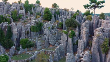 Foto de Paisaje con formaciones rocosas grises y exuberantes siempreverdes. Concepto de viaje. - Imagen libre de derechos